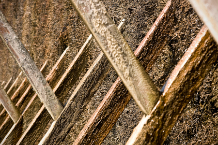 Graudation tower vol. 2